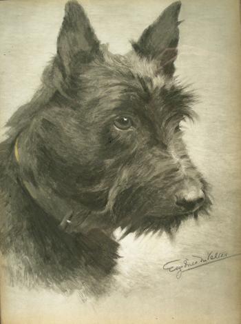 Portrait of a Highland Terrier's head by 
																	Eugenie M Valter