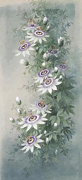 Blumenstilleben mit weißen Passionsblumen. by 
																	Emilie Vouga