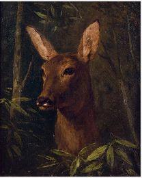 Head of a deer by 
																	Claude Charles Rudhardt