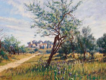 Les Apilles, Provence.  Olive Grove, Buis le Baronne, Provence by 
																	Lionel Aggett