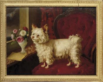 A dog on a red velvet fauteuil by 
																			H Baert