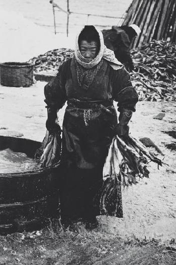 A woman labourer in a fishery workshop, Hokkaido, Japan by 
																	Hiroshi Hamaya