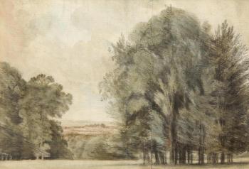 Trees in a Devonshire landscape by 
																	William Crotch