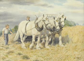 Their last harvest by 
																	Dorothy Margaret Alderson