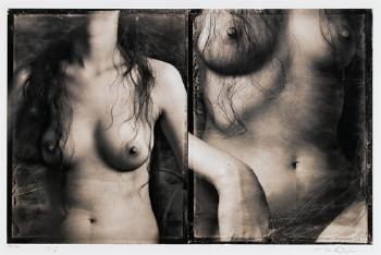 Diptych (female nude) by 
																	Hiroshi Osaka