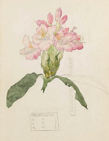 Rhododendron by 
																	Margaret MacDonald Mackintosh