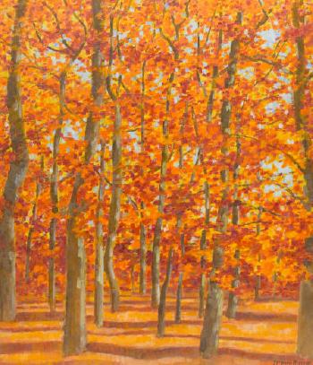 Autumn trees by 
																	Stephen Rasco