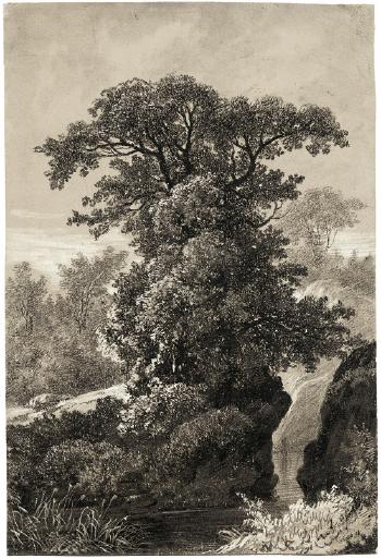Baum an einem Weldweiher by 
																	Andreas Jeklin