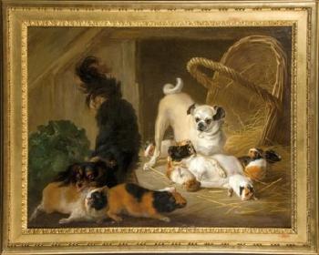 King Charles, Carlin et hamsters by 
																	Charles Dagomer
