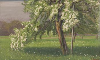 Frühlingslandschaft mit blühendem Baum. by 
																	Heinrich Zernin