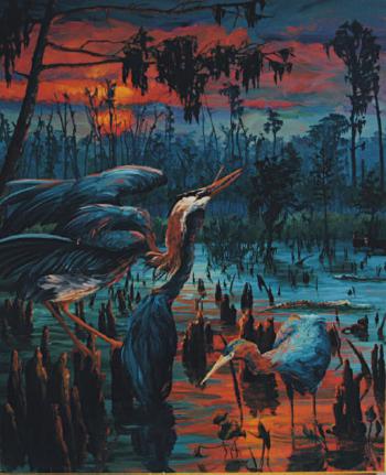 Swamp by 
																	Melissa Miller