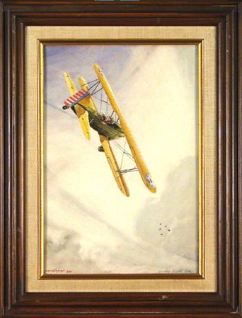 Curtiss Hawks by 
																	John MacGilchrist