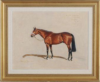 Study for Portrait of Red Rum by 
																	Lionel Hamilton-Renwick