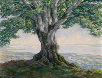 Tree by the Meteorological Observatory on Lake Constance. Mountainous landscape by 
																	Karl Eyth
