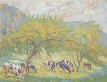 Cows grazing in orchard by 
																			Daniel Kotz