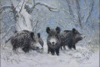 Wildschweinrotte im verschneiten Wald by 
																	Pal Csergezan