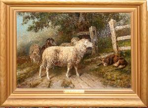 Sheep on the road by 
																	A Emil Prinz