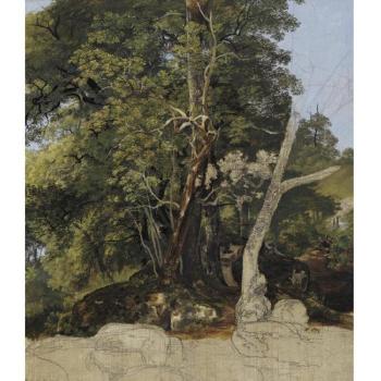 Study of trees by 
																	Friedrich Salathe