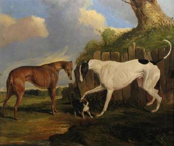 Racer, Mungo and Rally by 
																	Joseph Dunn of Worcester