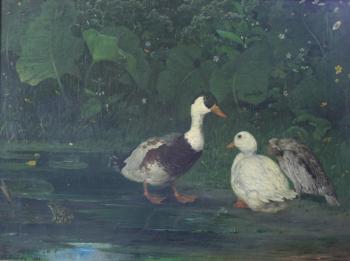 Ducks by a pool by 
																	Anders Kallenberg