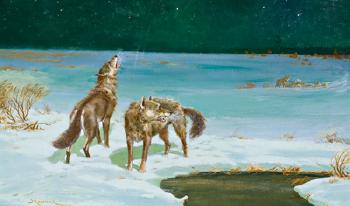 Steppenwolfe in einer Winterlandschaft by 
																	Stephan Kasprazak