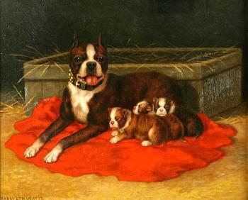 Proud mother and her pups  by 
																	Harry Lyman