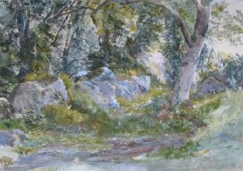 Rocky wooded landscape by 
																	Alfred Oliver