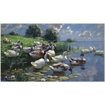 Enten Am Seeufer (Ducks On A Lake Shore) by 
																	Alexander Koester