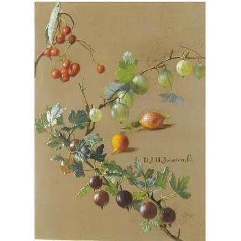 A Sheet Of Studies Of Gooseberries, Currants And Rosehips by 
																	Dirk Jan Hendrik Joosten