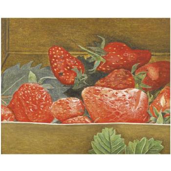 Strawberries by 
																	Lucian Freud