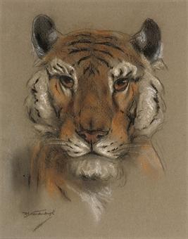 A head of a tiger. A head of a lion by 
																	Raymond John Vandenbergh