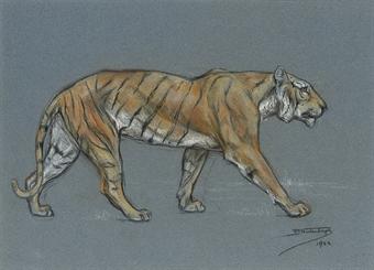 Study of a tiger walking by 
																	Raymond John Vandenbergh
