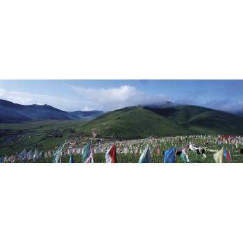 Acclamation - Qinghai Dari Mountain Baidumu No. 1 by 
																	 Wang Rong Ping
