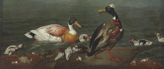 Sheldrake, a mallard drake and their young with crabs and shells on a beach by 
																	Cornelia de Ryck