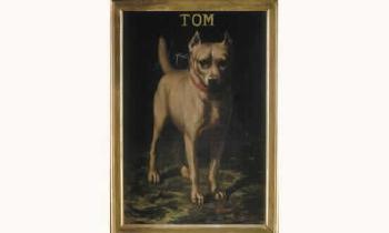 Le chien, Tom by 
																	T A Laffille