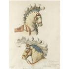 Study of Napoleon Bonaparte's State Horses by 
																	Lawrence Gahagan
