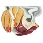 Smoker 17 by 
																	Tom Wesselmann