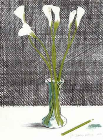 Lillies - still life by 
																	David Hockney