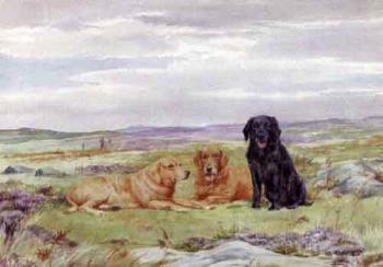 Gun dogs on a moor by 
																	 E M