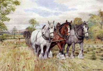 Shire horses at work by 
																	 E M