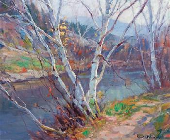 Birches along the stream by EMILE A GRUPPE