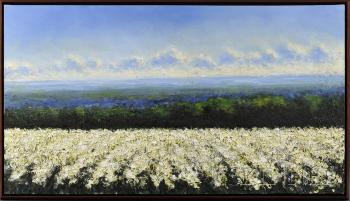 Poppy fields (white) by 
																	John B Stockwell