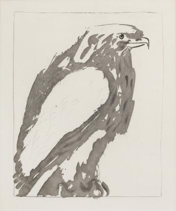 L'Aigle Blanc; L'epervier, from Histoire Naturelle (Eaux-fortes originales pour des textes de buffon), 1936 by 
																	Pablo Picasso