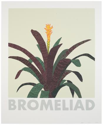 Bromeliad by 
																	Jonas Wood